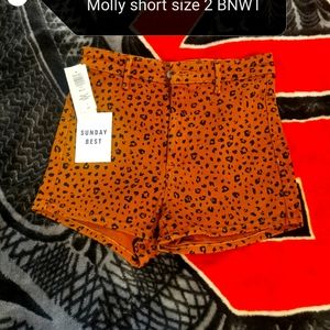 Aritzia Sunday best Molly shorts